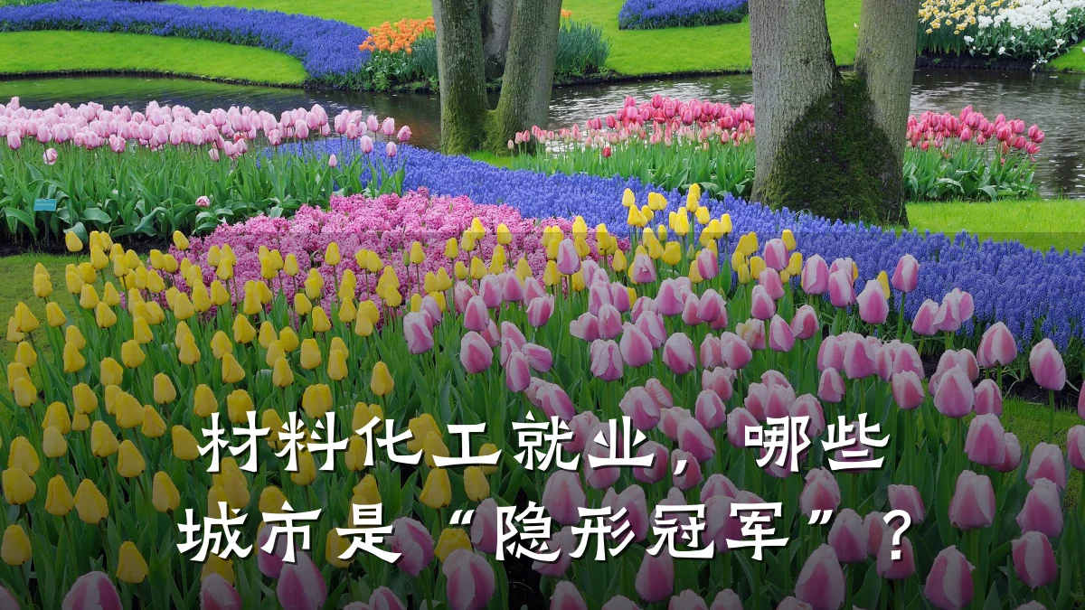 材料化工就业，哪些城市是“隐形冠军”？