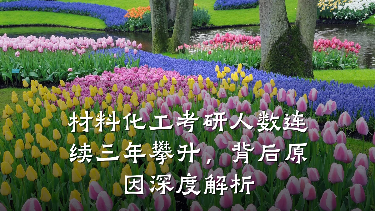 材料化工考研人数连续三年攀升,背后原因深度解析