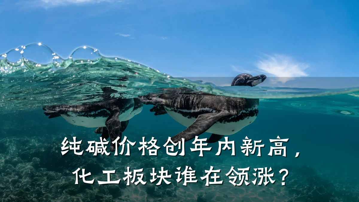 纯碱价格创年内新高，化工板块谁在领涨？