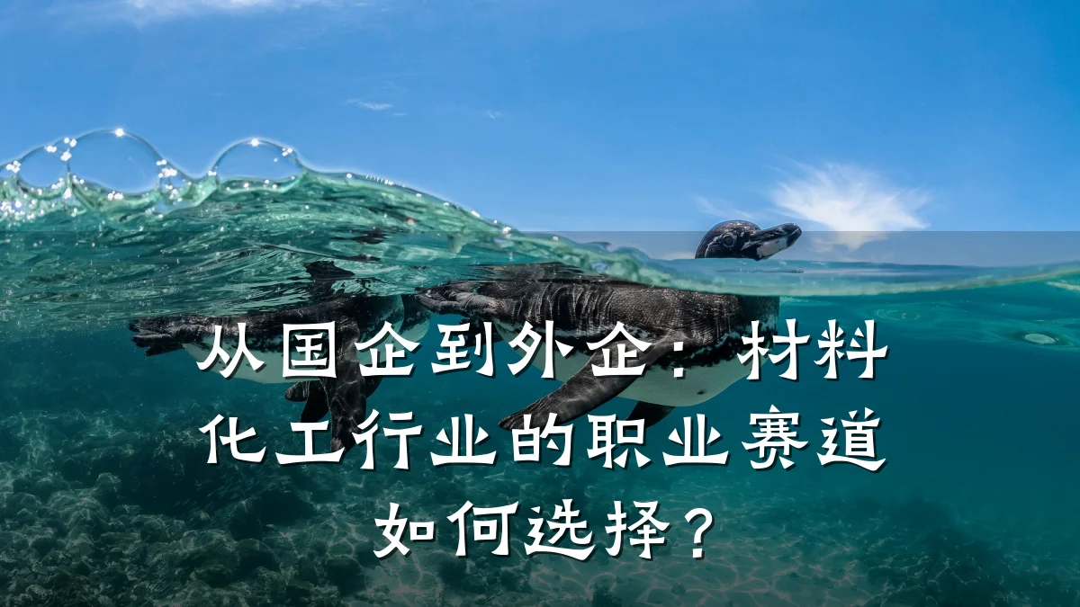 从国企到外企:材料化工行业的职业赛道如何选择?