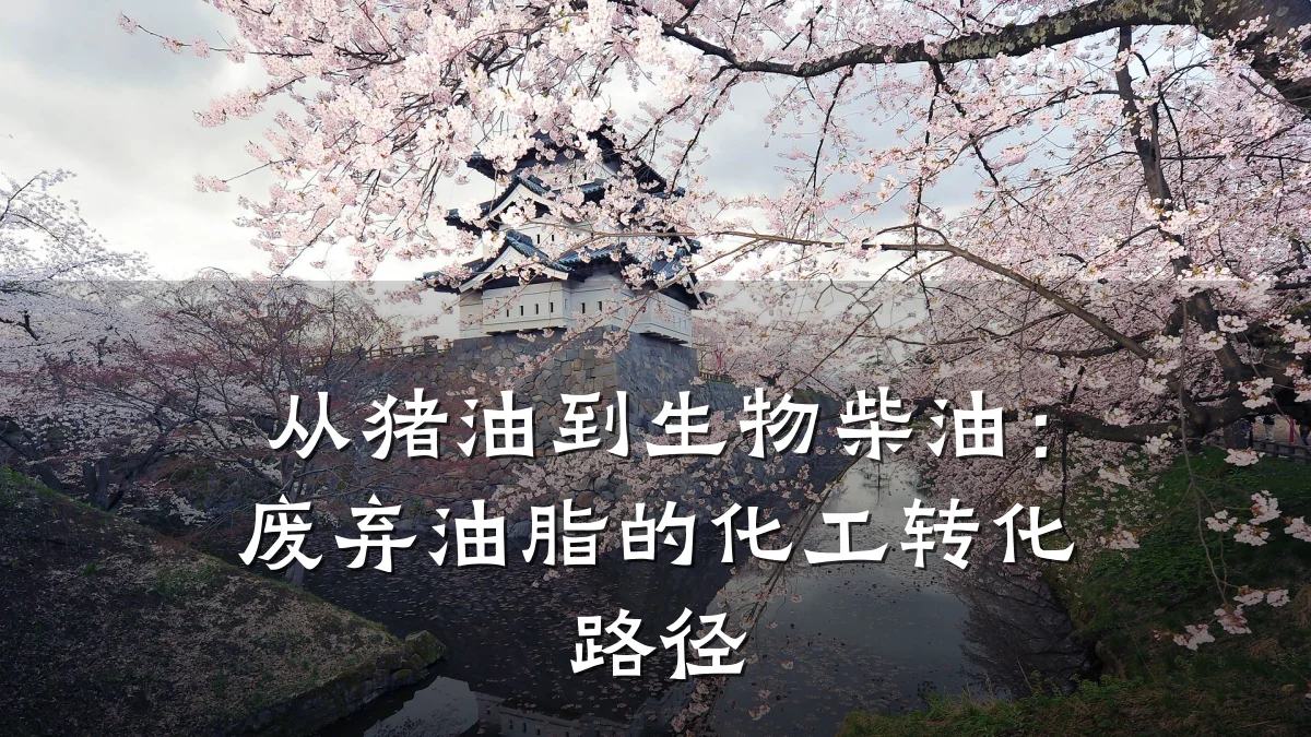 从猪油到生物柴油：废弃油脂的化工转化路径