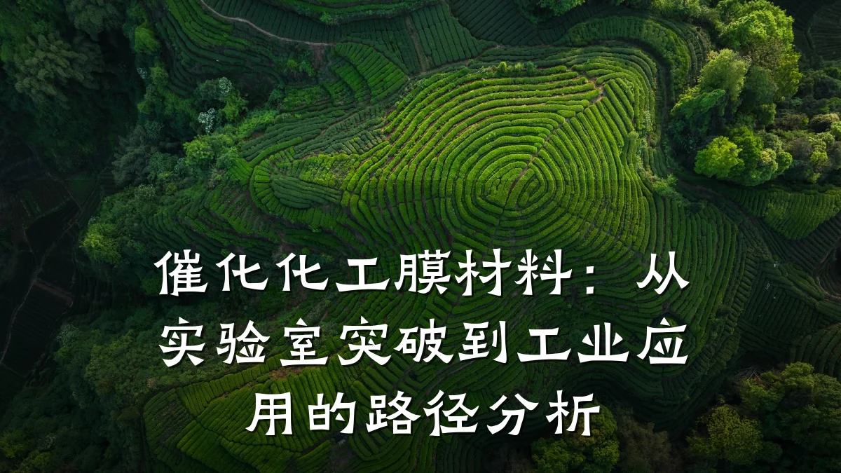 催化化工膜材料：从实验室突破到工业应用的路径分析