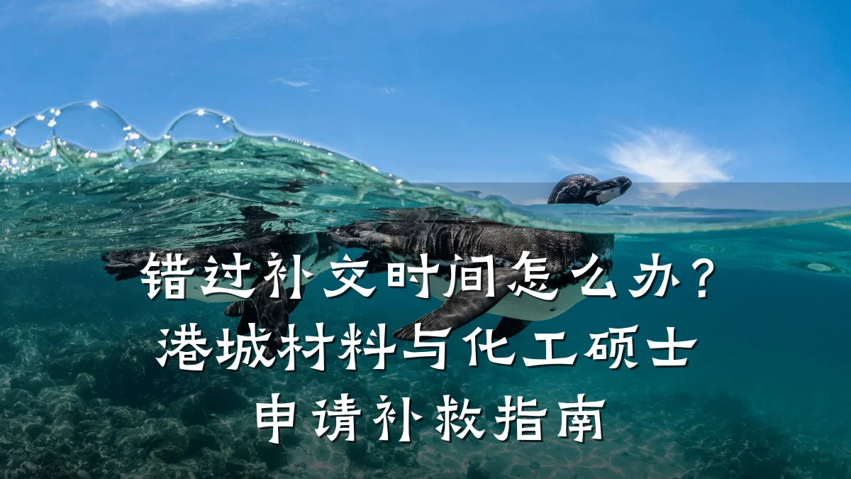 错过补交时间怎么办？港城材料与化工硕士申请补救指南