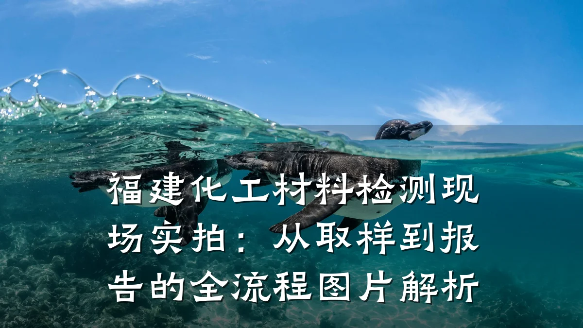 福建化工材料检测现场实拍：从取样到报告的全流程图片解析