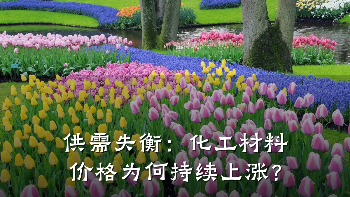 供需失衡：化工材料价格为何持续上涨？
