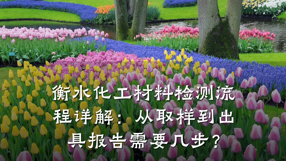 衡水化工材料检测流程详解：从取样到出具报告需要几步？