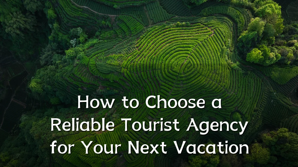 How to Choose a Reliable Tourist Agency for Your Next Vacation