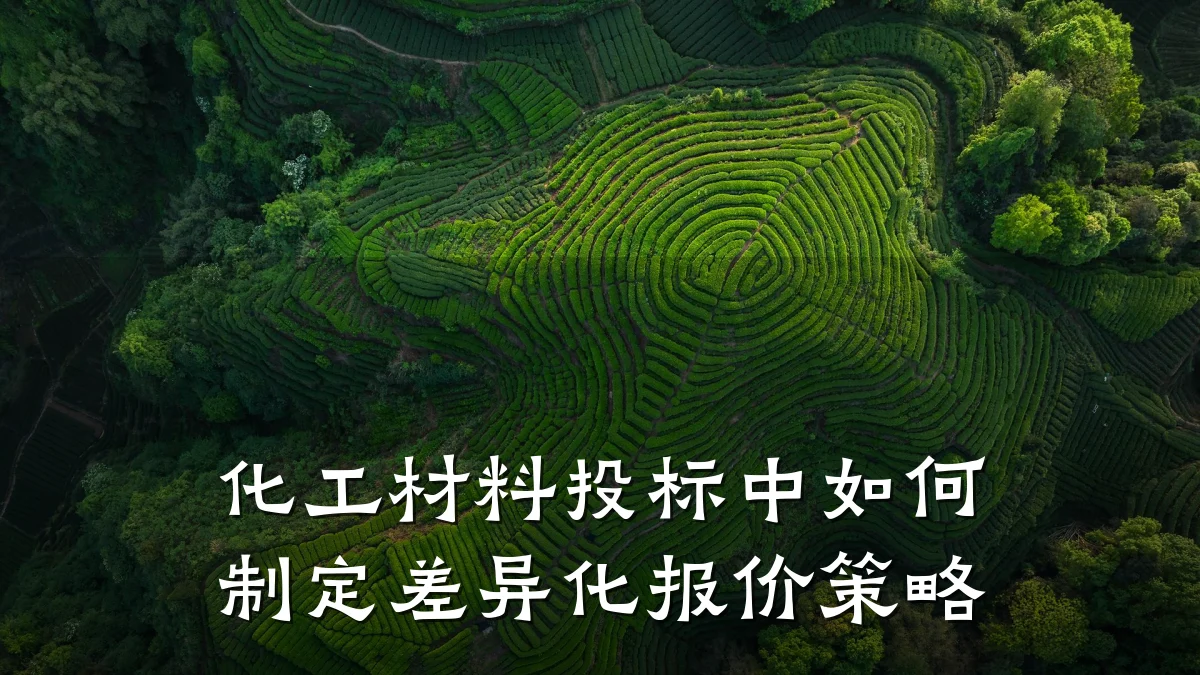 化工材料投标中如何制定差异化报价策略