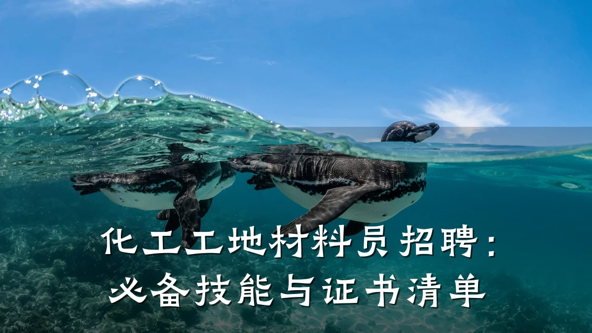 化工工地材料员招聘：必备技能与证书清单
