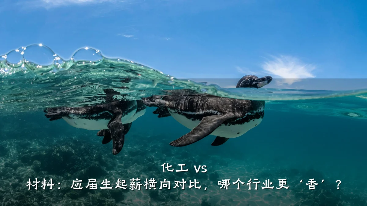 化工 vs 材料:应届生起薪横向对比,哪个行业更‘香’?