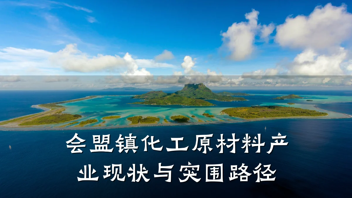 会盟镇化工原材料产业现状与突围路径