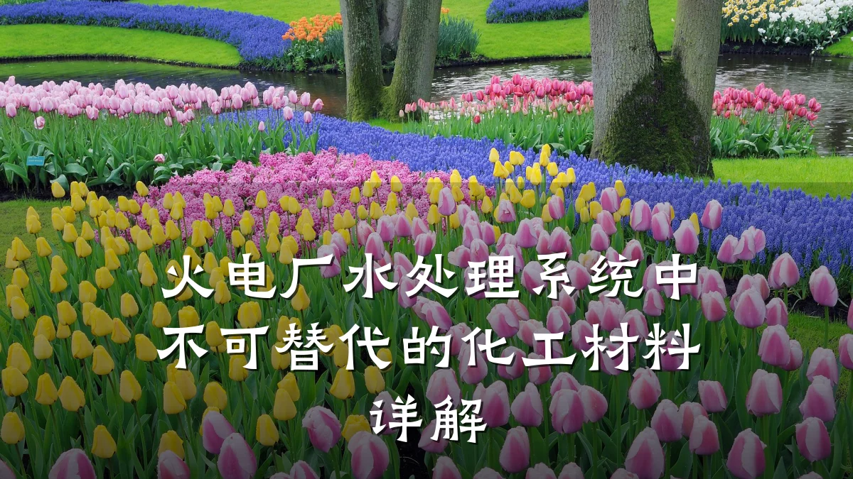 火电厂水处理系统中不可替代的化工材料详解