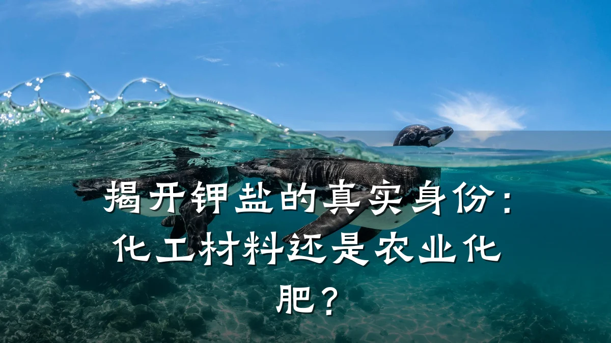 揭开钾盐的真实身份：化工材料还是农业化肥？