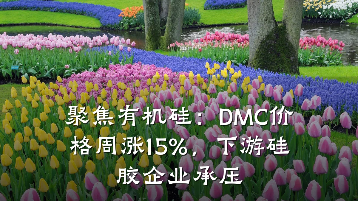 聚焦有机硅：DMC价格周涨15%，下游硅胶企业承压