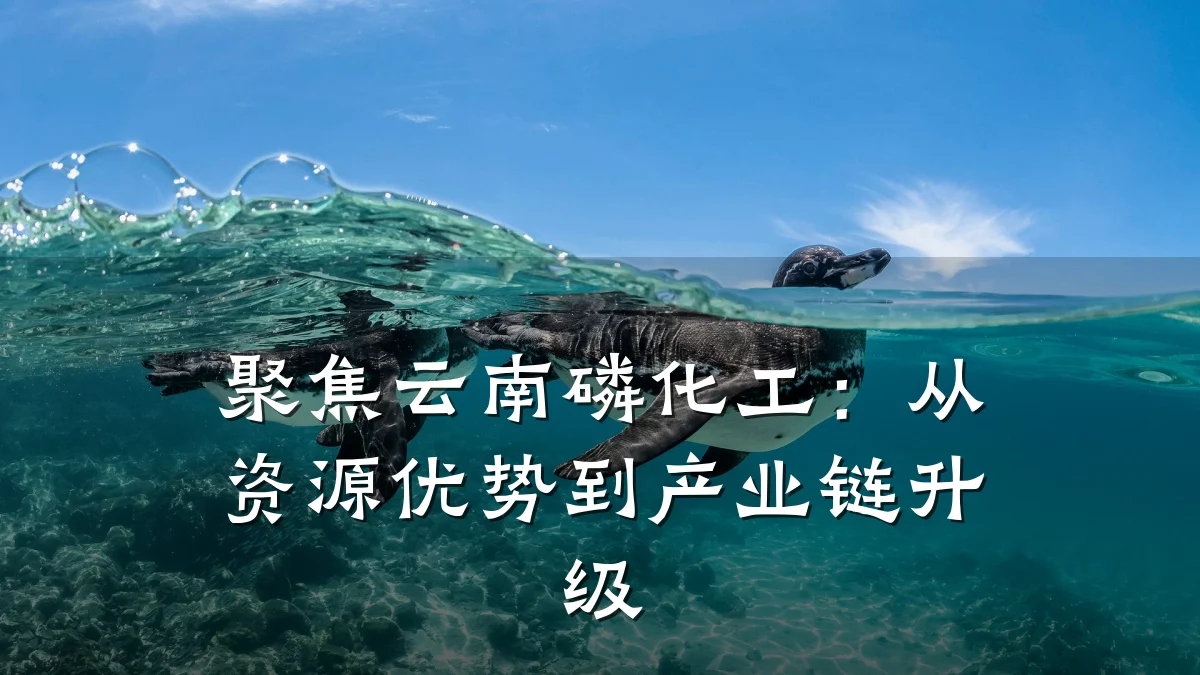聚焦云南磷化工：从资源优势到产业链升级