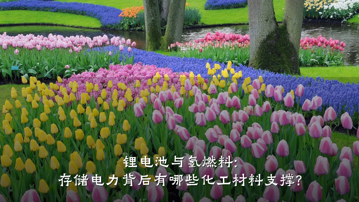 锂电池与氢燃料: 存储电力背后有哪些化工材料支撑?