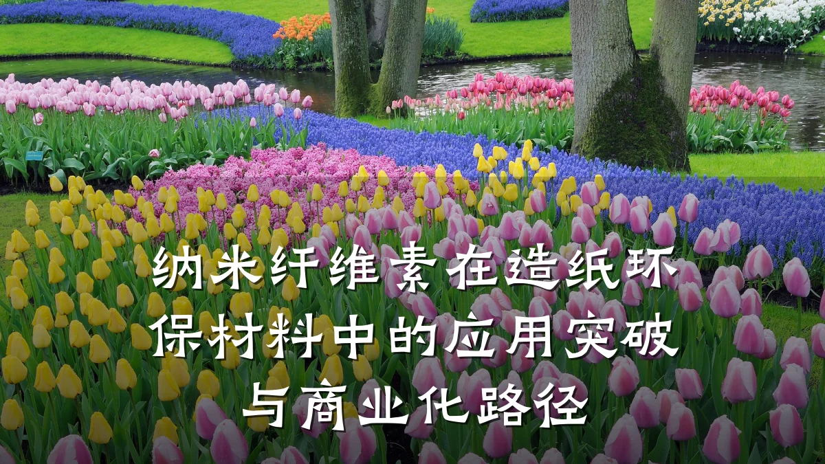 纳米纤维素在造纸环保材料中的应用突破与商业化路径