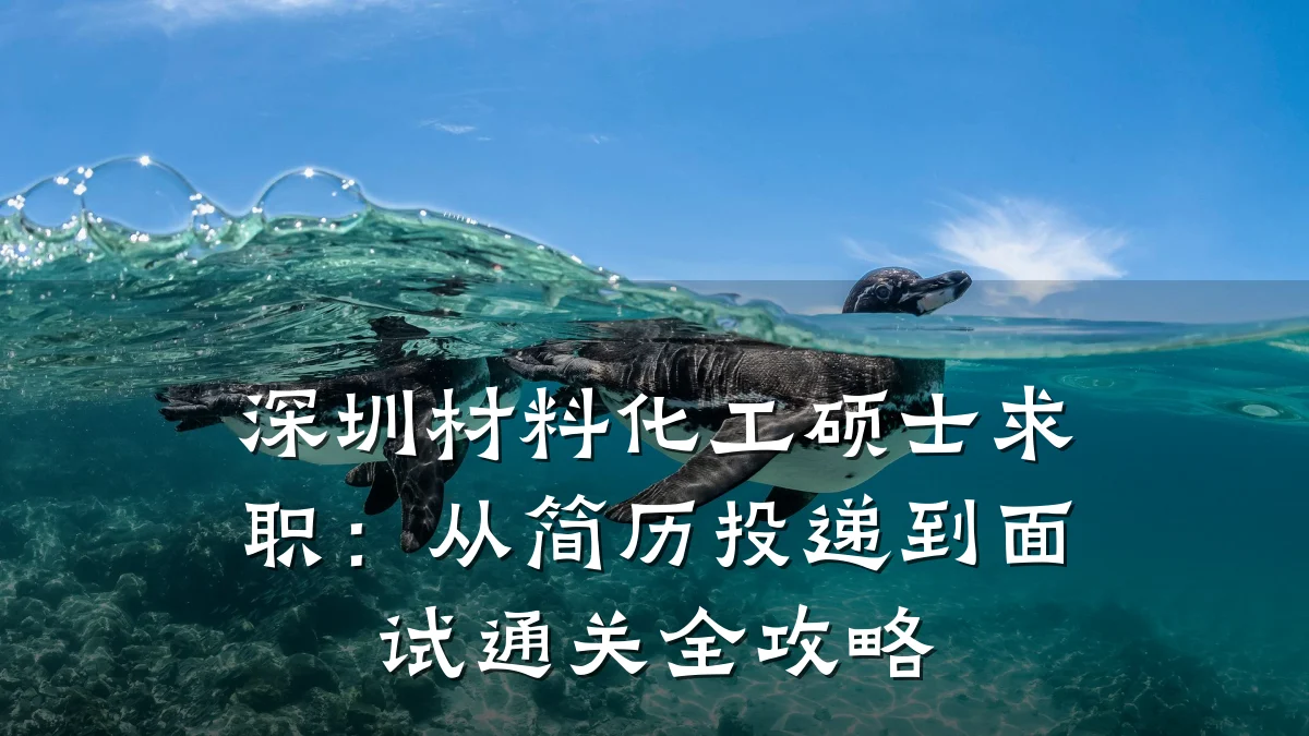 深圳材料化工硕士求职：从简历投递到面试通关全攻略