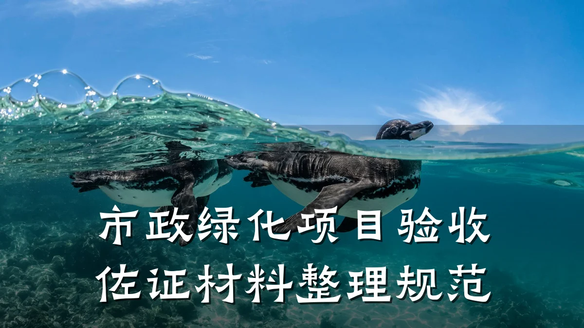 市政绿化项目验收佐证材料整理规范