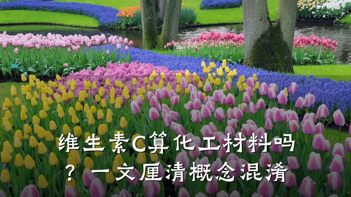 维生素C算化工材料吗？一文厘清概念混淆