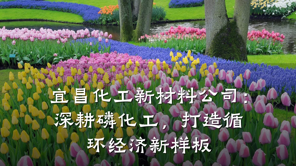 宜昌化工新材料公司：深耕磷化工，打造循环经济新样板