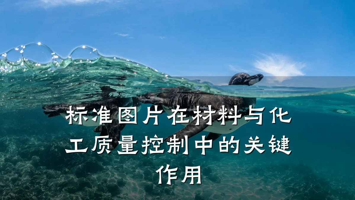 标准图片在材料与化工质量控制中的关键作用