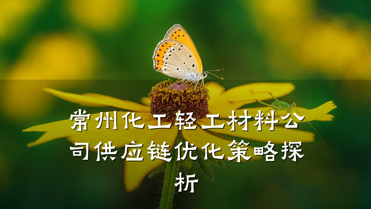 常州化工轻工材料公司供应链优化策略探析