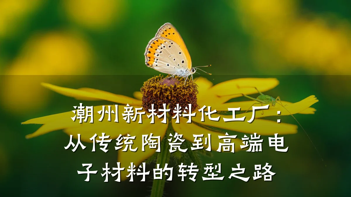 潮州新材料化工厂：从传统陶瓷到高端电子材料的转型之路