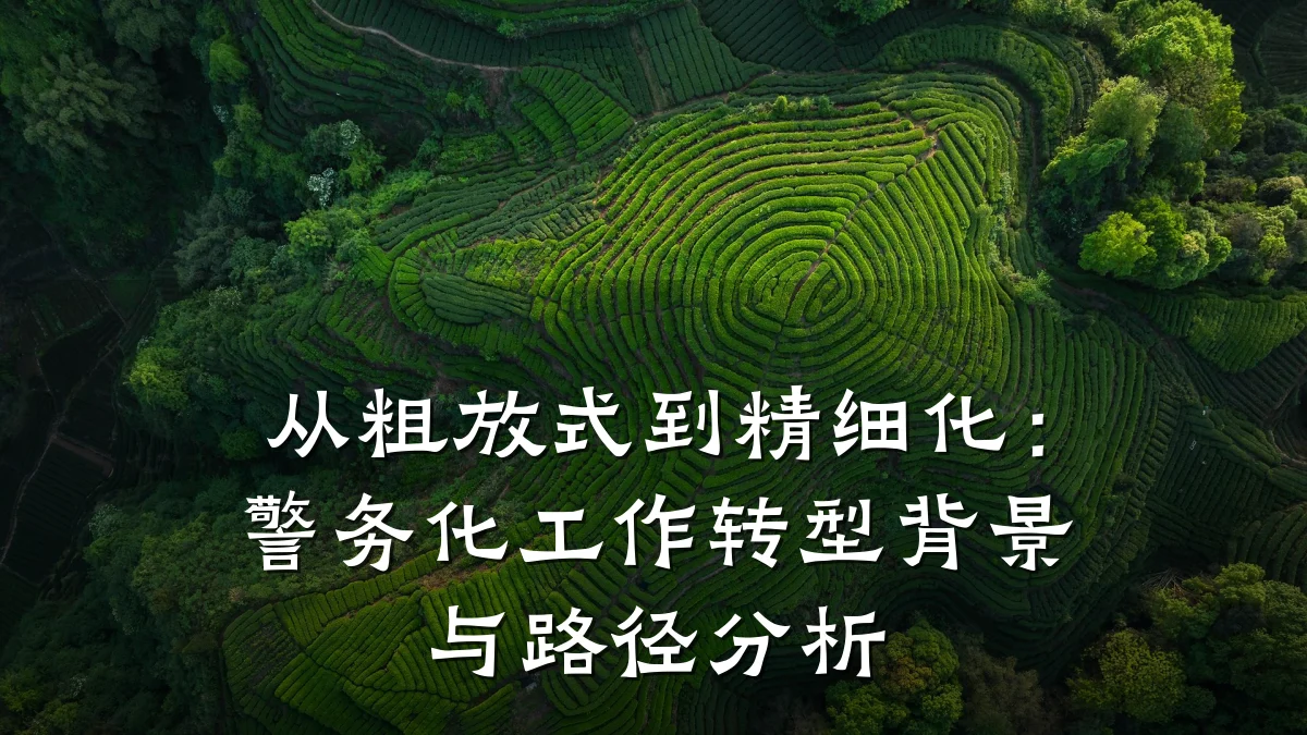 从粗放式到精细化：警务化工作转型背景与路径分析