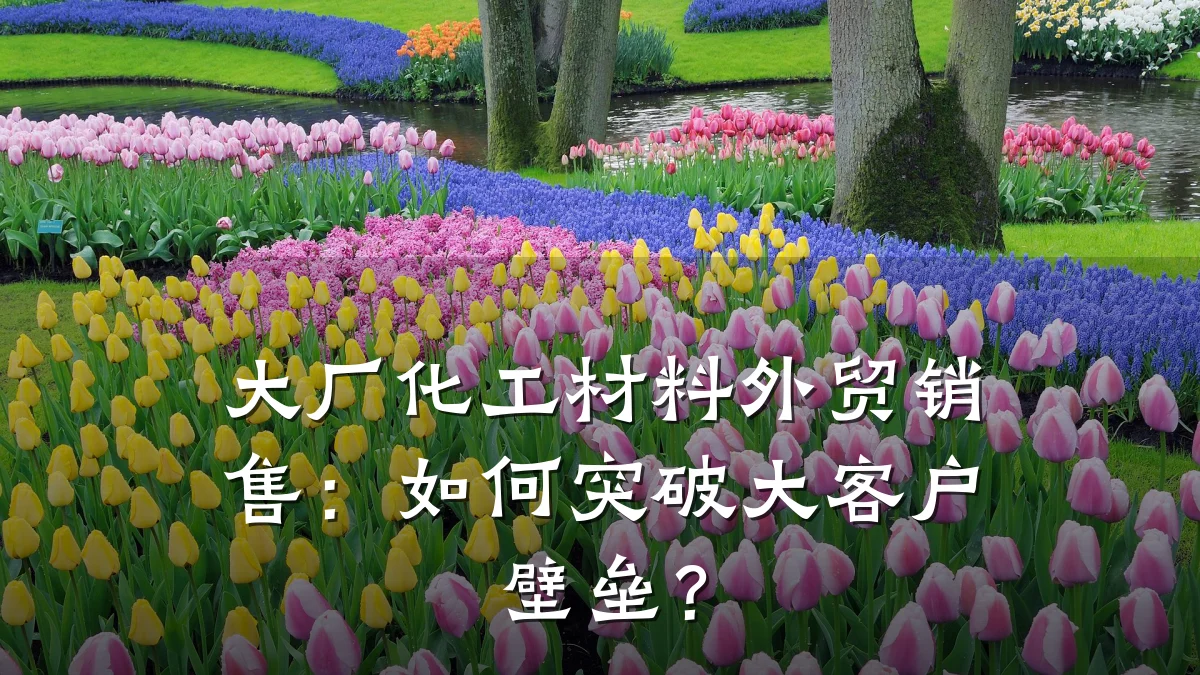 大厂化工材料外贸销售：如何突破大客户壁垒？