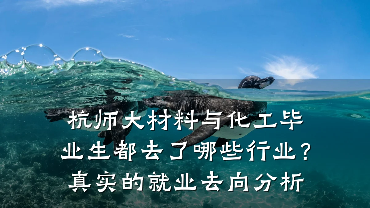杭师大材料与化工毕业生都去了哪些行业？真实的就业去向分析