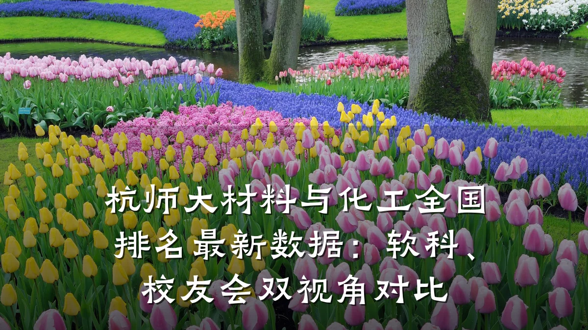 杭师大材料与化工全国排名最新数据：软科、校友会双视角对比