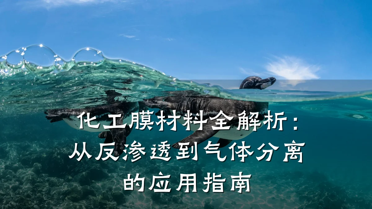 化工膜材料全解析：从反渗透到气体分离的应用指南