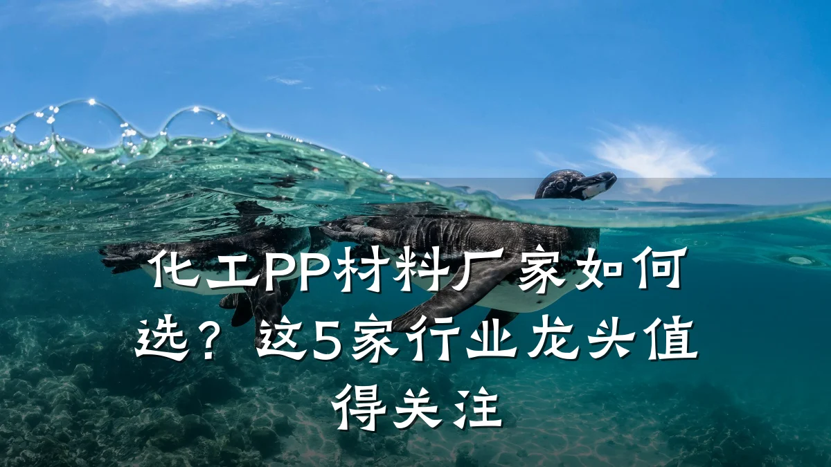 化工PP材料厂家如何选？这5家行业龙头值得关注