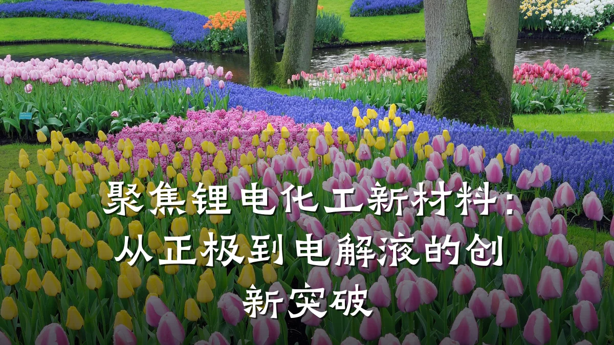 聚焦锂电化工新材料:从正极到电解液的创新突破
