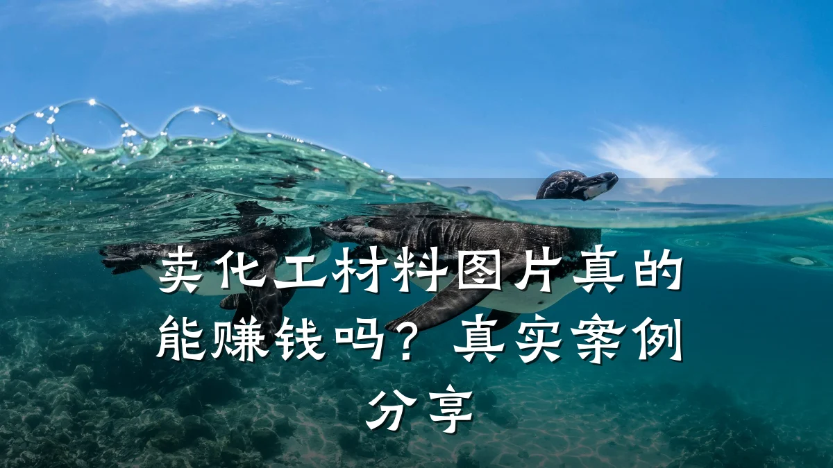 卖化工材料图片真的能赚钱吗？真实案例分享