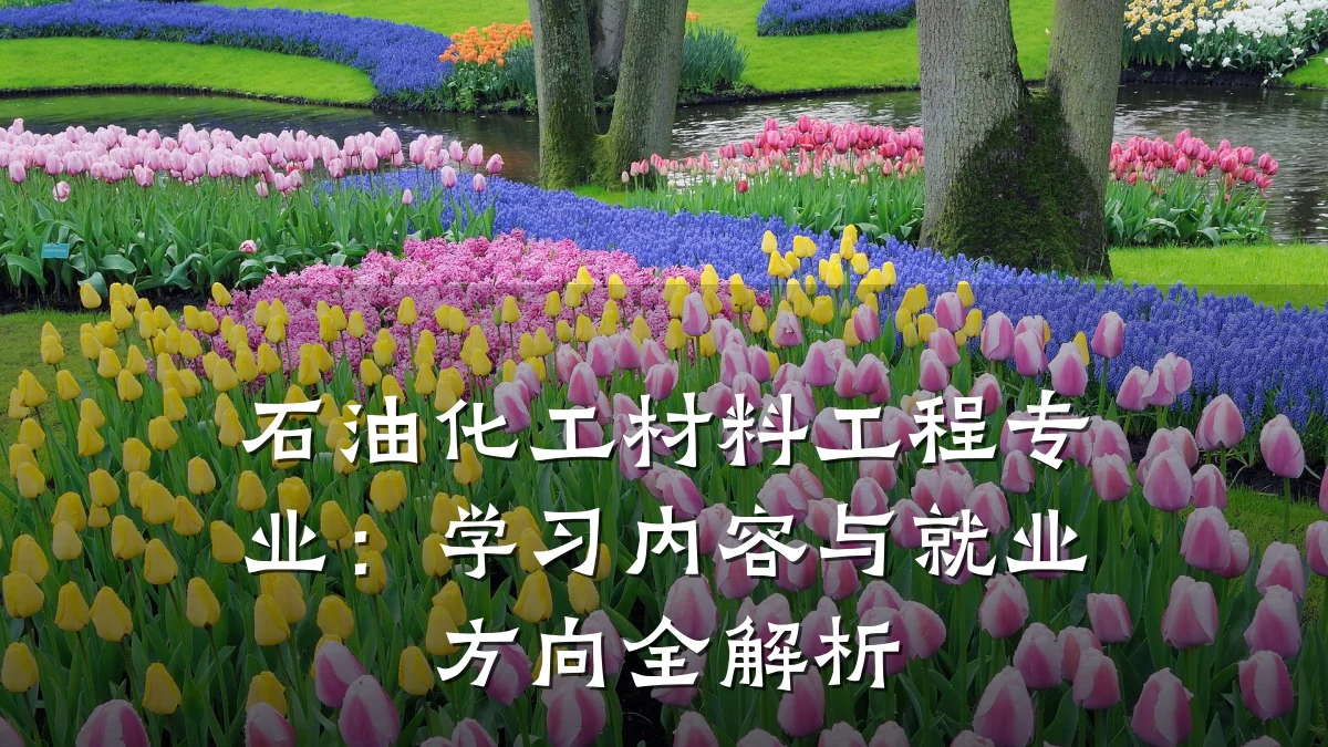 石油化工材料工程专业：学习内容与就业方向全解析