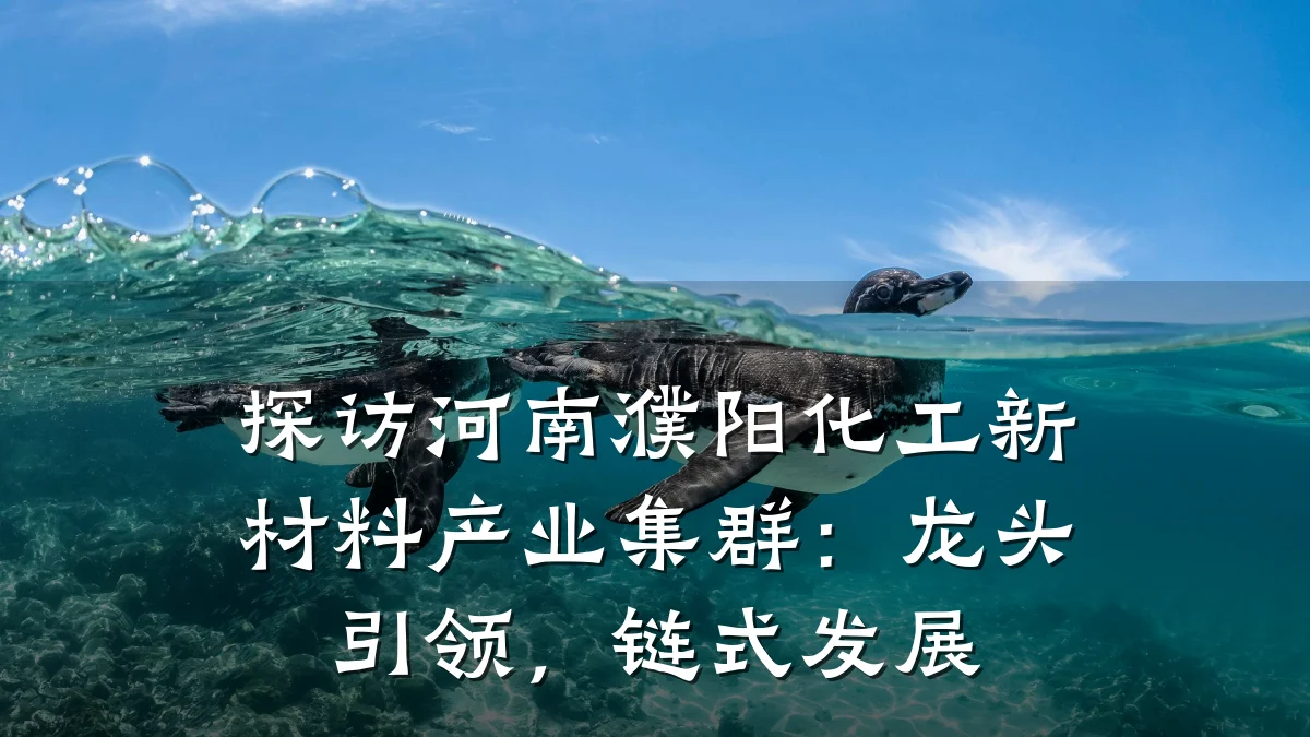 探访河南濮阳化工新材料产业集群：龙头引领，链式发展