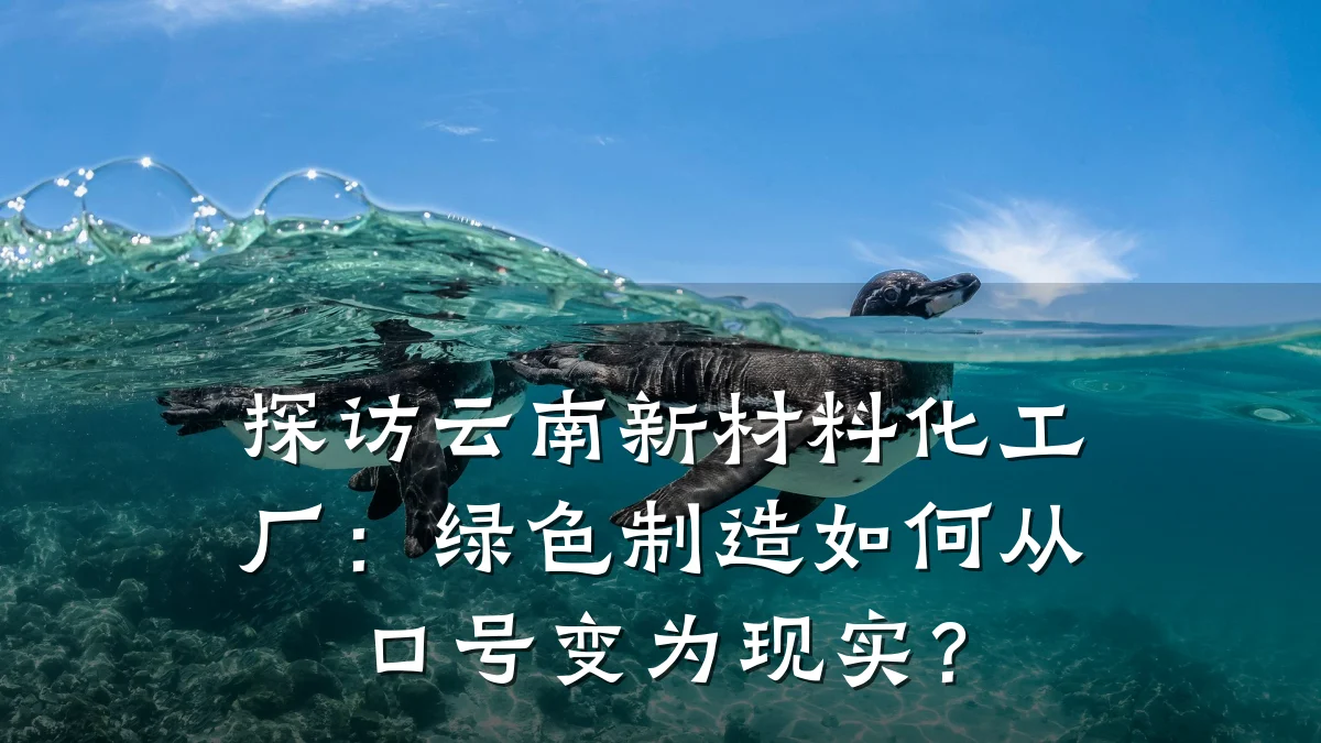 探访云南新材料化工厂:绿色制造如何从口号变为现实?