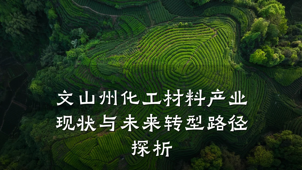 文山州化工材料产业现状与未来转型路径探析