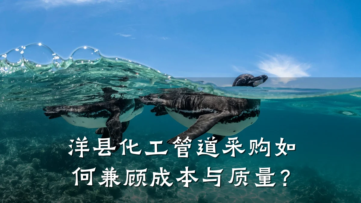 洋县化工管道采购如何兼顾成本与质量?