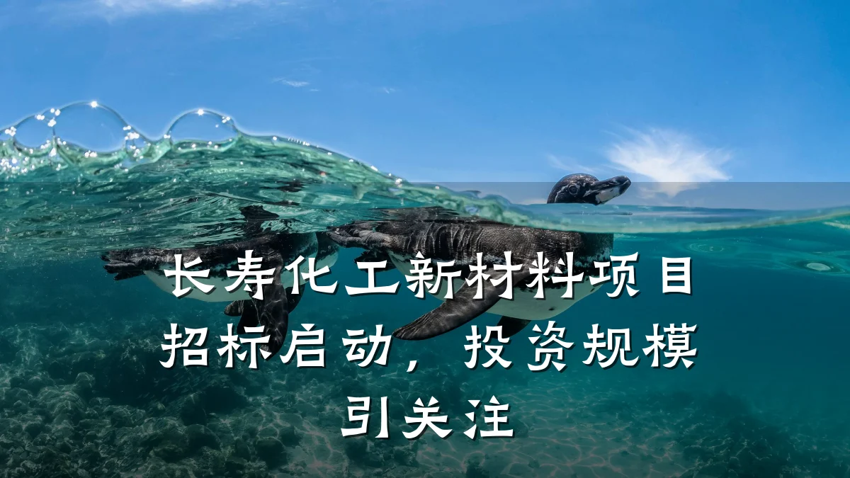 长寿化工新材料项目招标启动，投资规模引关注