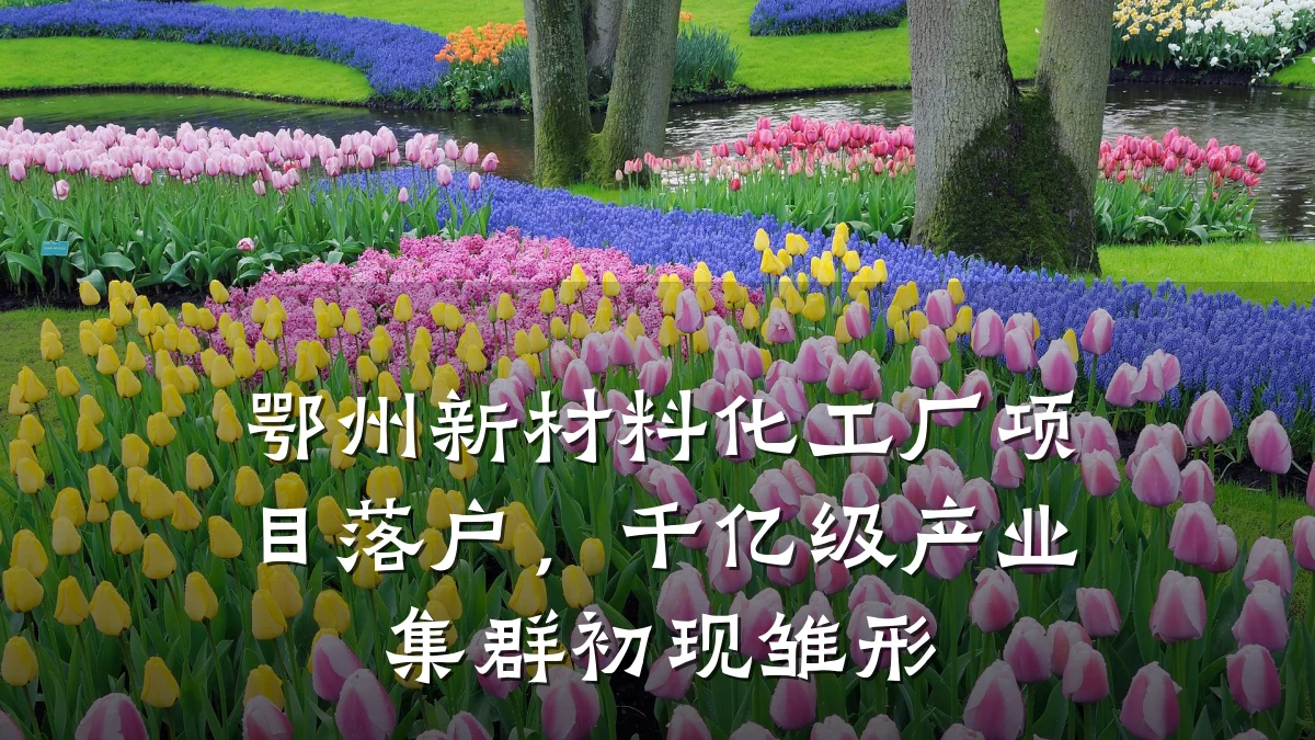 鄂州新材料化工厂项目落户，千亿级产业集群初现雏形