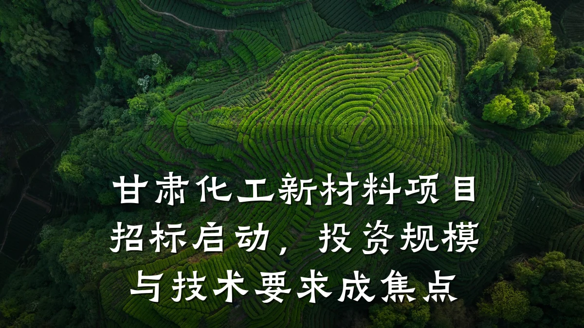 甘肃化工新材料项目招标启动,投资规模与技术要求成焦点