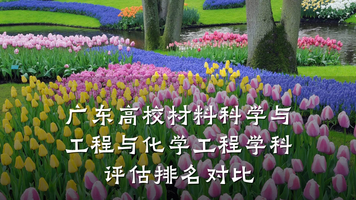 广东高校材料科学与工程与化学工程学科评估排名对比