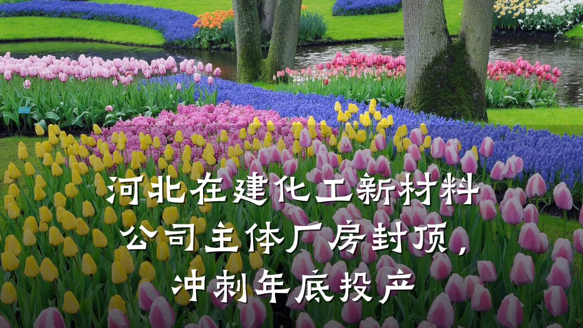 河北在建化工新材料公司主体厂房封顶，冲刺年底投产