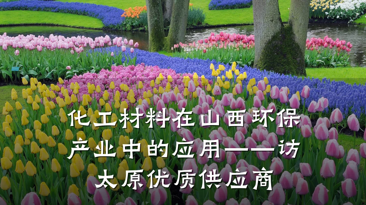 化工材料在山西环保产业中的应用——访太原优质供应商