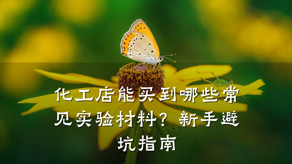 化工店能买到哪些常见实验材料？新手避坑指南