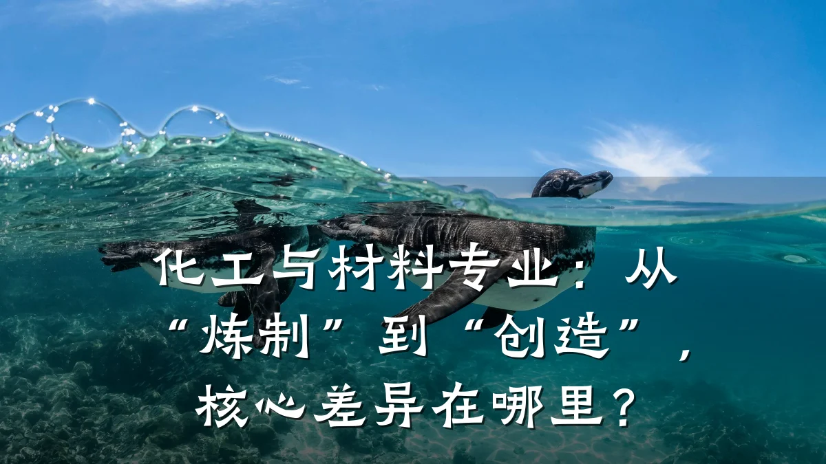 化工与材料专业：从“炼制”到“创造”，核心差异在哪里？