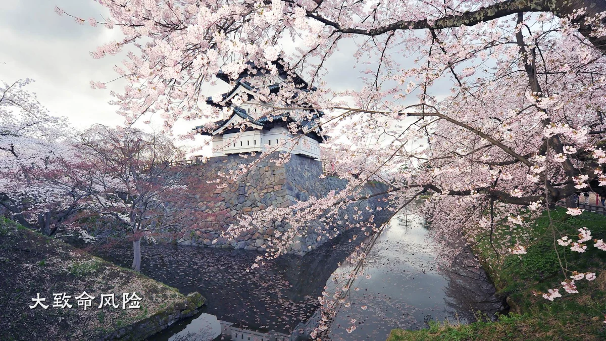 大致命风险